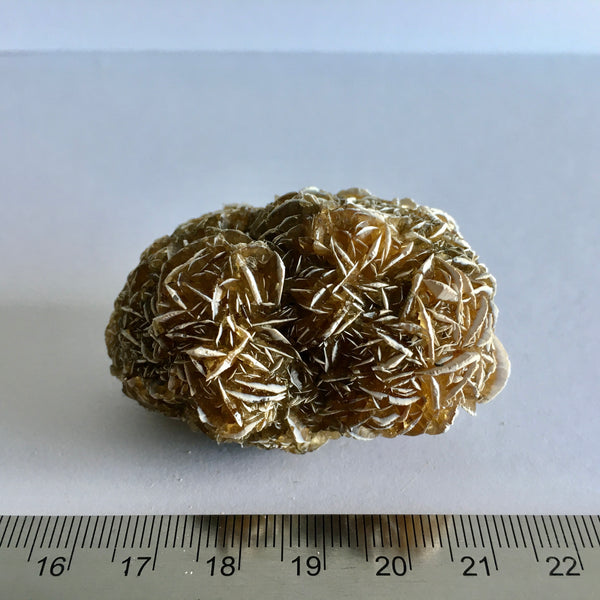 Golden Selenite Desert Rose - 11.99 reduced to 8.99