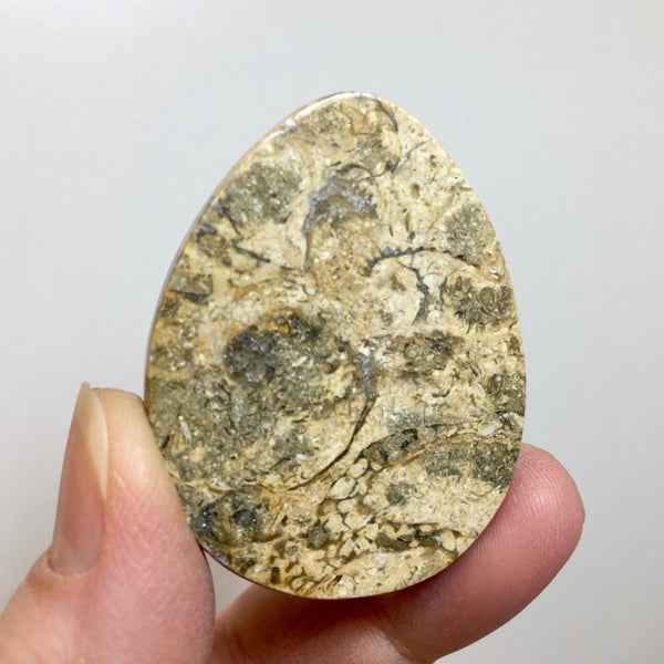 Fossil Comfort Stone - 4.99