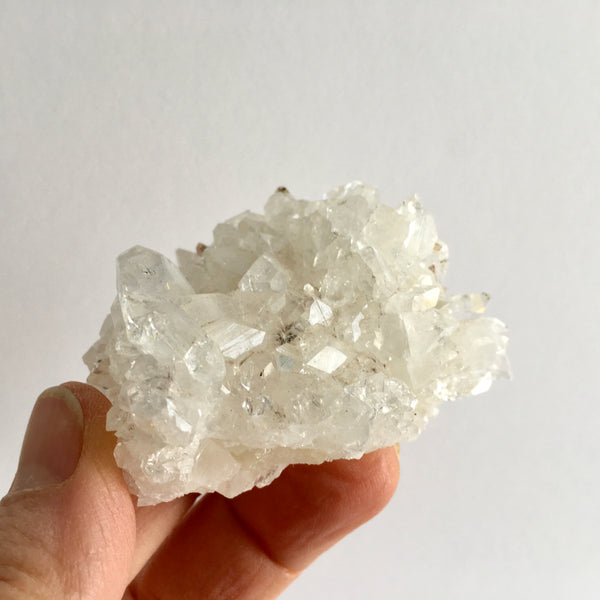 Apophyllite Cluster - 39.97