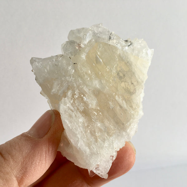 Apophyllite Cluster - 39.97