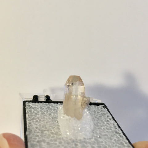 Amber Pink Terminated - 38.99
